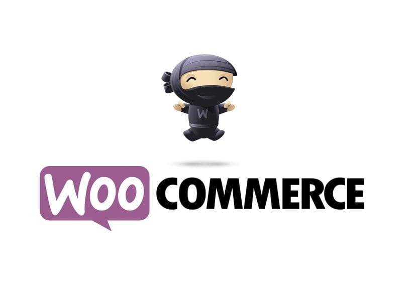 Woo your customers with Woocommerce eStore
