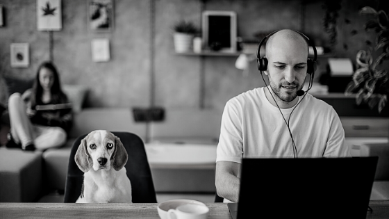 5 Ways To Help Your Pet’s Anxiety When You Go Back To The Office