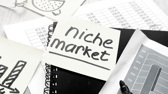 Why You Need to Get More Niche in 2021
