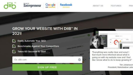 Analyse Your Website and SEO with Diib