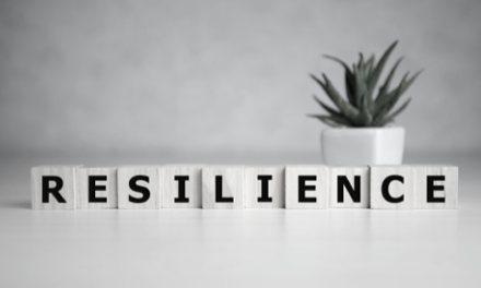 A leadership framework for personal and organisational resilience