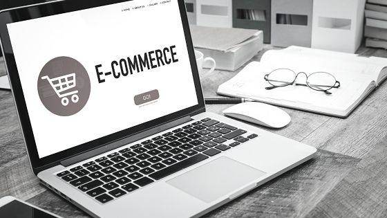 From Garage to Global: Transforming E-commerce Challenges into Business Success